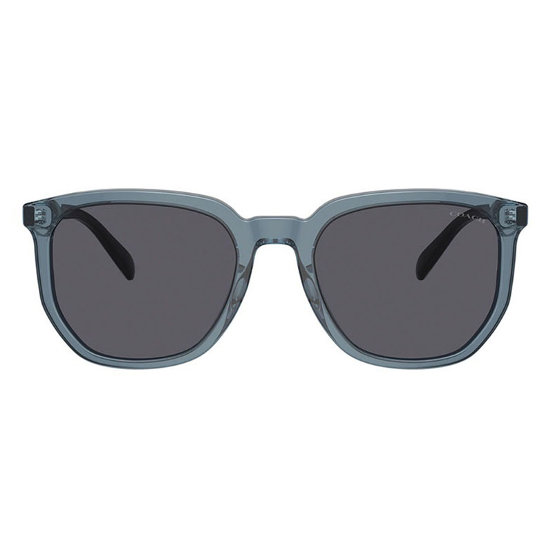 Coach HC8384U Geometric Sunglasses