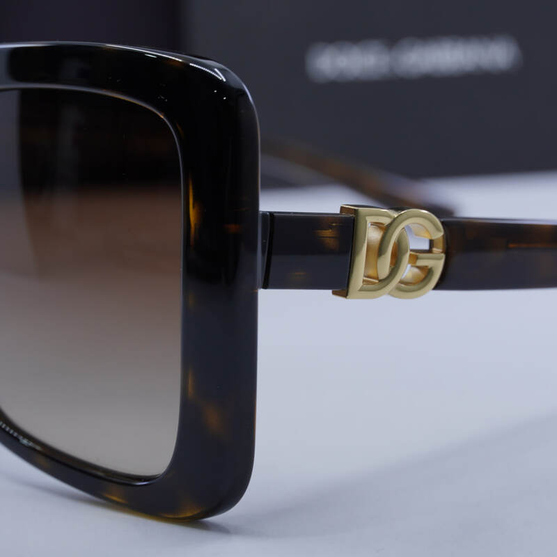 Dolce & Gabbana DG6193U Butterfly Sunglasses