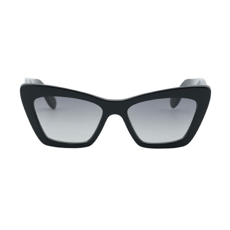 Salvatore Ferragamo SF1081S Cat Eye Sunglasses