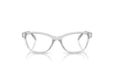 Coach HC6243U 5614 Transparent Dove 53mm