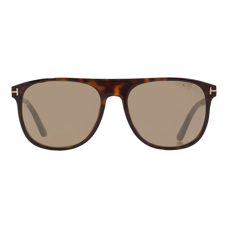 Tom Ford FT1105 Browline Sunglasses