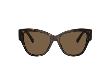 Dolce & Gabbana DG4449 502/73 Havana/Dark Brown