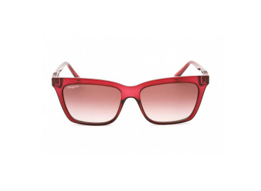 Salvatore Ferragamo SF1027S 655 Transparent Wine/Brown Gradient