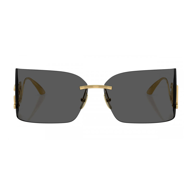 Dolce & Gabbana DG2319 Square Sunglasses