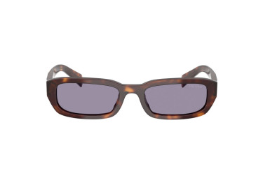 Prada PRB06S 15W03N Havana/Grey