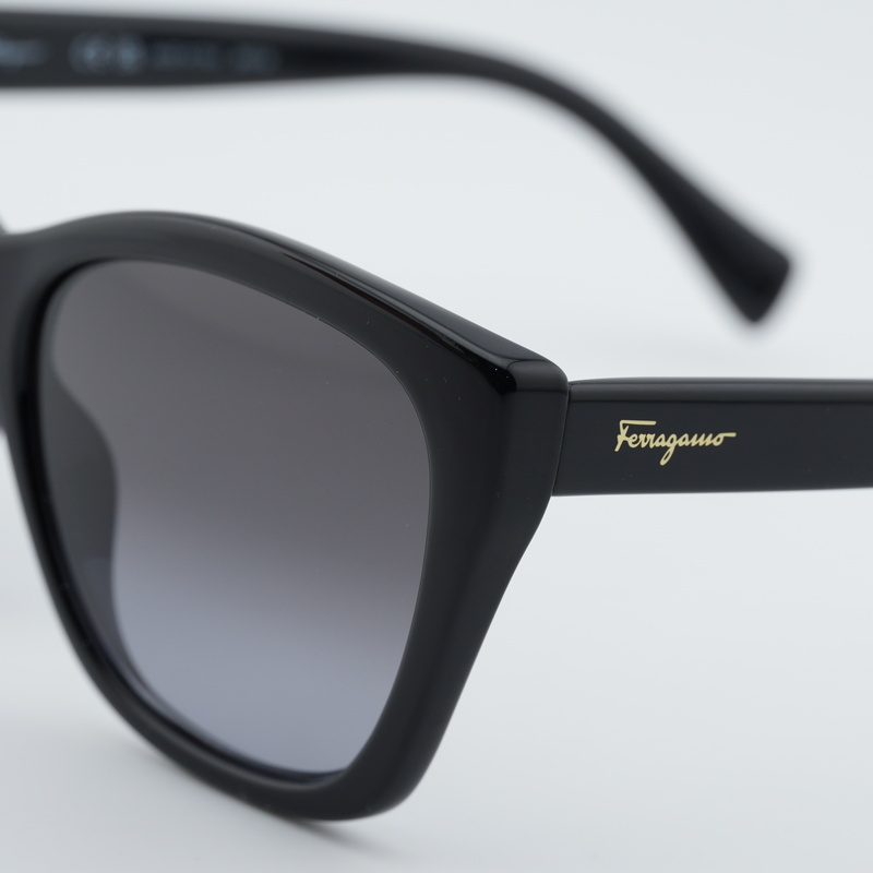 Salvatore Ferragamo SF957S Cat Eye Sunglasses