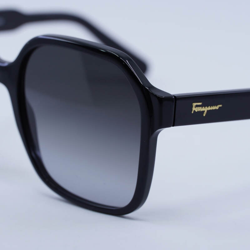 Salvatore Ferragamo SF1069S Square Sunglasses