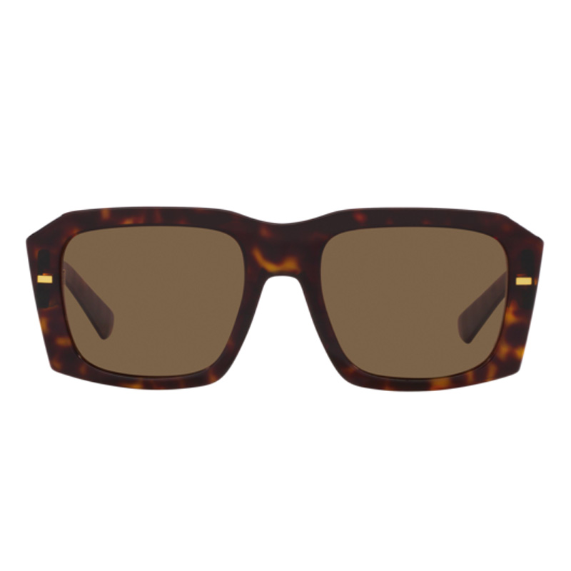 Dolce & Gabbana DG4430 Square Sunglasses