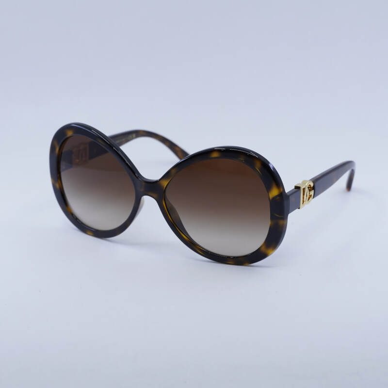 Dolce & Gabbana DG6194U Oval Sunglasses