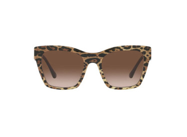Dolce & Gabbana DG4384 316313 Leo Brown On Black/Brown Gradient