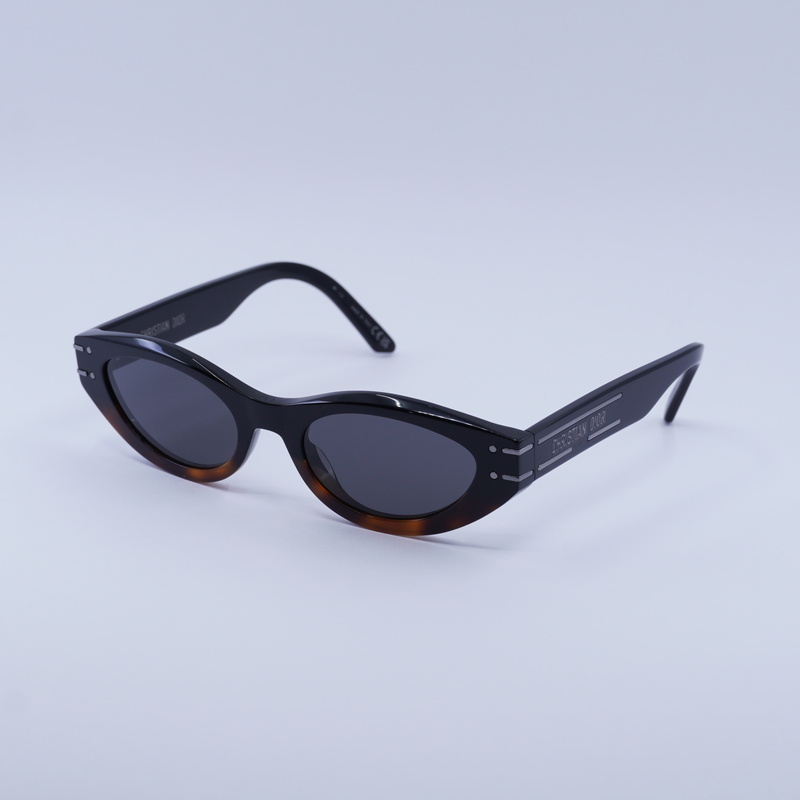 Dior DIORSIGNATUREB5I Cat Eye Sunglasses