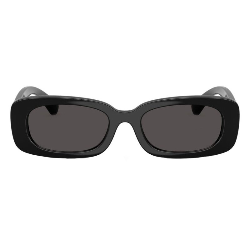 Dolce & Gabbana DX6006U Rectangle Sunglasses