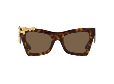 Dolce & Gabbana DG4434 502/73 Dark Tortoise/Dark Brown