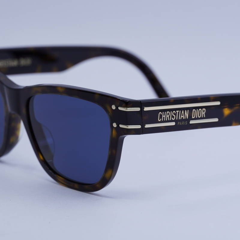 Dior DIORSIGNATURES6U Square Sunglasses