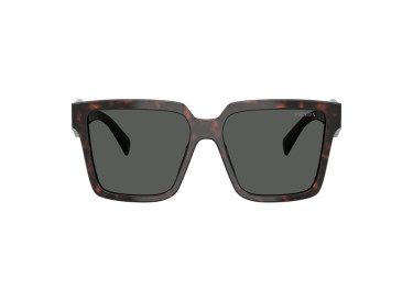 Prada PR24ZS 17N40L Root Havana/Dark Grey