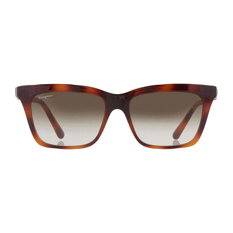 Salvatore Ferragamo SF1027S Square Sunglasses