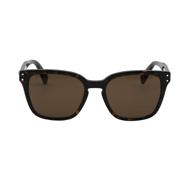Salvatore Ferragamo SF1040SCP Square Sunglasses