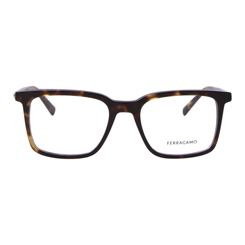Salvatore Ferragamo SF2969 Square Eyeglasses