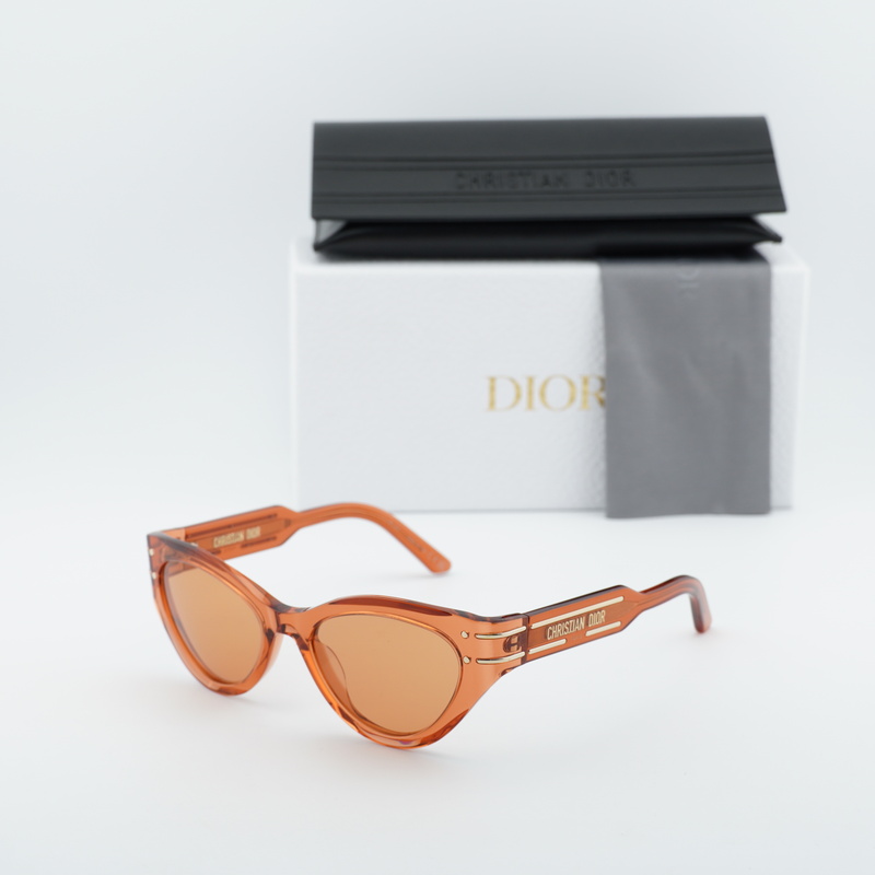 Dior DIORSIGNATUREB7I Cat Eye Sunglasses