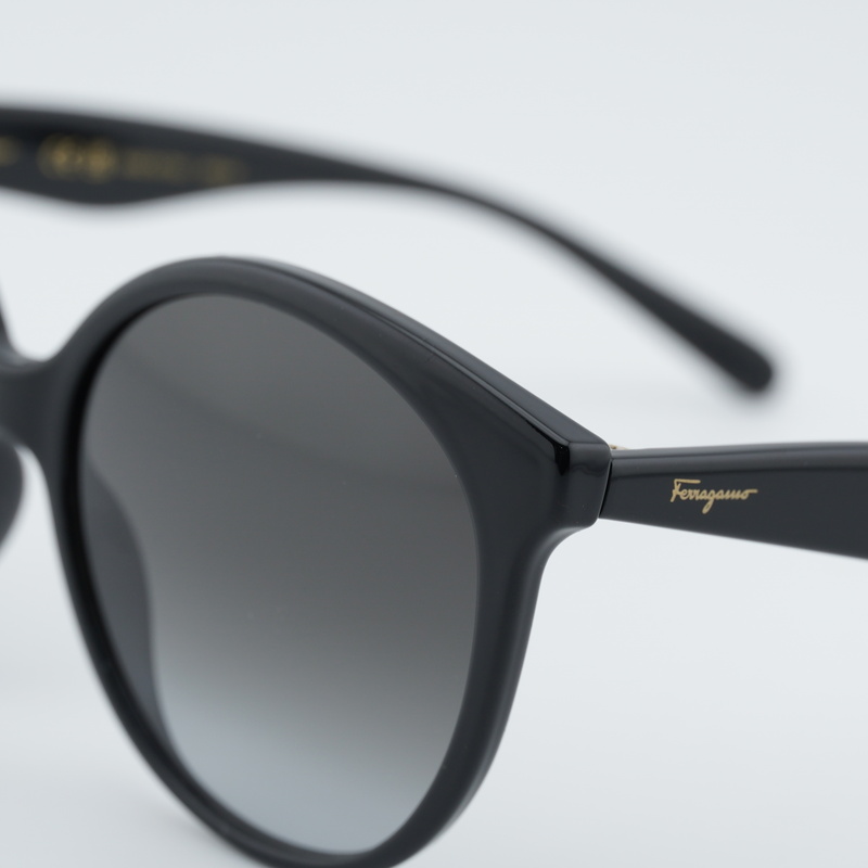 Salvatore Ferragamo SF1071S Rectangle Sunglasses