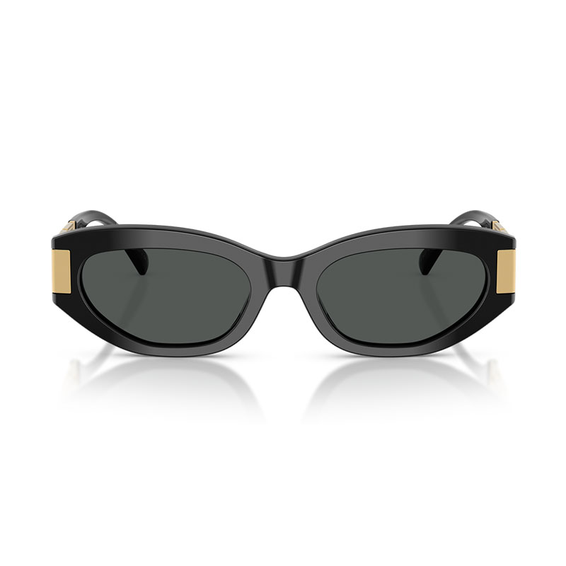 Versace VE4501 Cat Eye Sunglasses