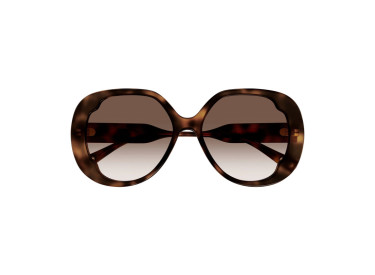 Chloe CH0195SK 002 Havana/Brown Gradient