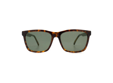 Saint Laurent SL318 003 Havana/Green