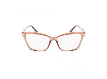 Salvatore Ferragamo SF2921 232 Transparent Brown 55mm