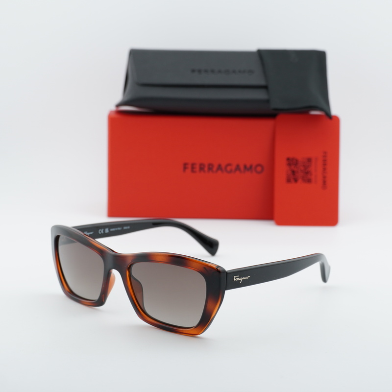 Salvatore Ferragamo SF958S Rectangle Sunglasses