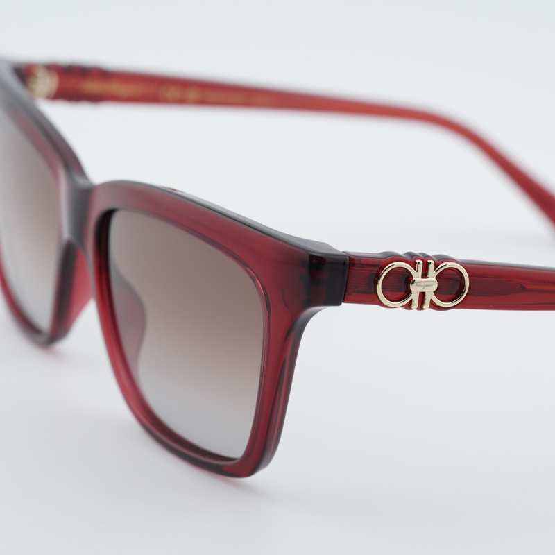Salvatore Ferragamo SF1027S Square Sunglasses