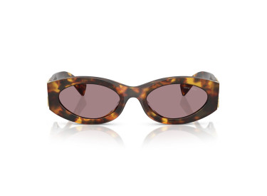 Miu Miu MU11WS 14L20I Honey Havana/Light Purple Brown