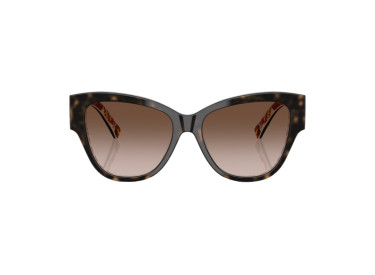 Dolce & Gabbana DG4449 321713 Havana On White Barrow/Brown Gradient