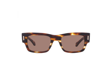Salvatore Ferragamo SF2011S 216 Striped Brown/Brown