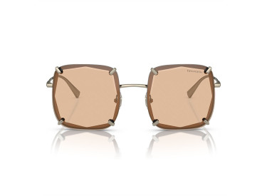 Tiffany & Co. TF3089 602173 Pale Gold/Brown