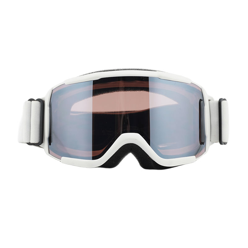 Smith Optics DAREDEVIL Shield Sunglasses