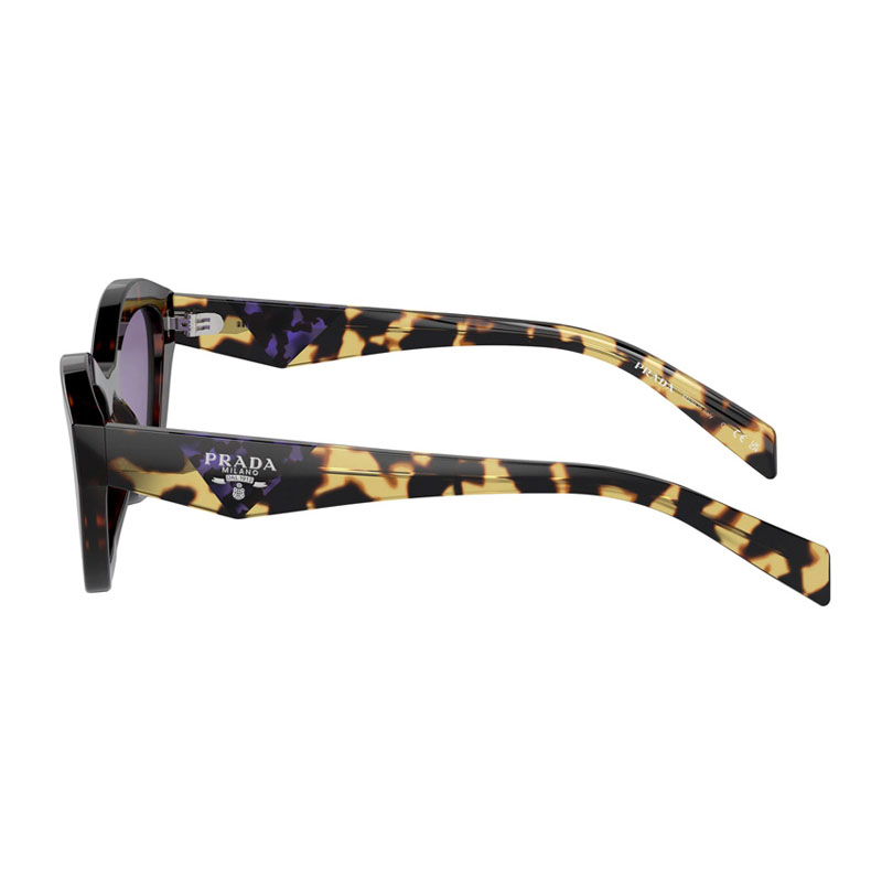 Prada PRA02S Cat Eye Sunglasses