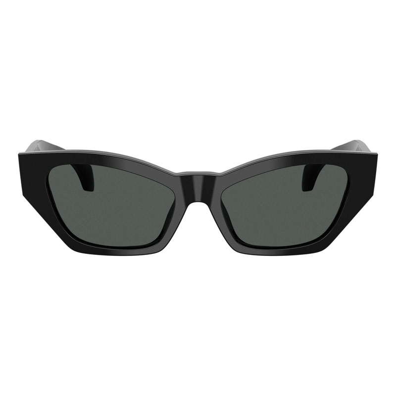 Versace VE4488U Cat Eye Sunglasses