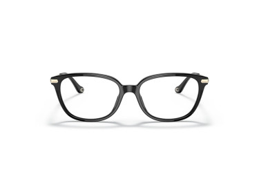 Coach HC6185 5002 Black 54mm