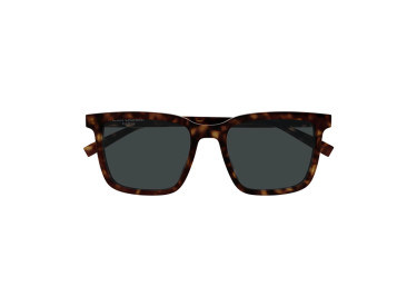 Saint Laurent SL500 002 Dark Havana/Grey