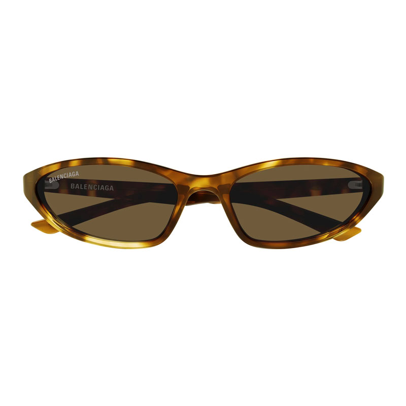 Balenciaga BB0402S Cat Eye Sunglasses