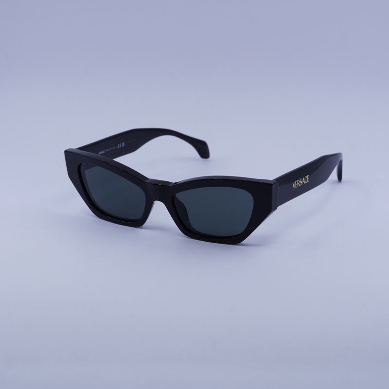 Versace VE4488U Cat Eye Sunglasses