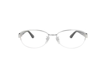 Gucci GG0859OJ 001 Silver/Black 53mm