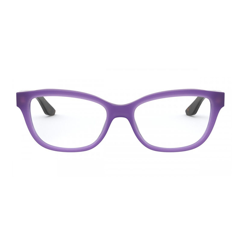 Polo Ralph Lauren RL6194 Cat Eye Eyeglasses