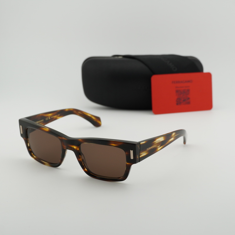 Salvatore Ferragamo SF2011S Rectangle Sunglasses