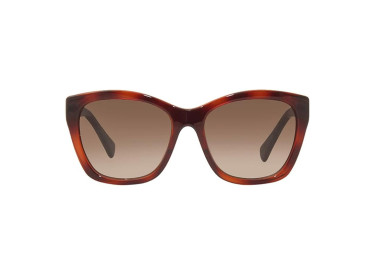 Salvatore Ferragamo SF957S 214 Havana/Brown Gradient