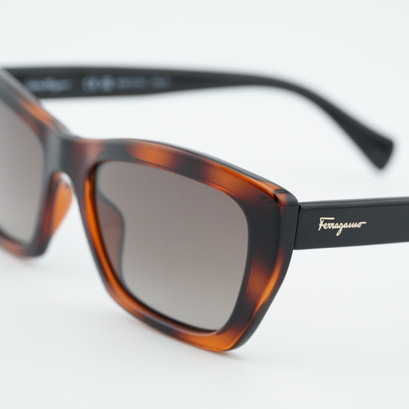 Salvatore Ferragamo SF958S Rectangle Sunglasses