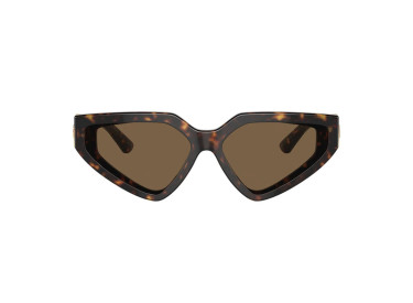 Dolce & Gabbana DG4469 502/73 Havana/Dark Brown