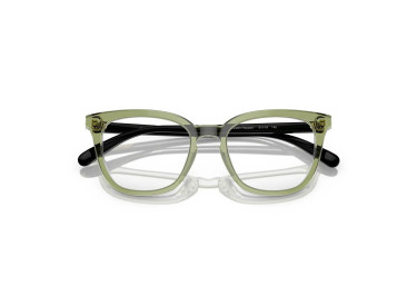 Coach HC6222U 5786 Transparent Green Hopper 49mm