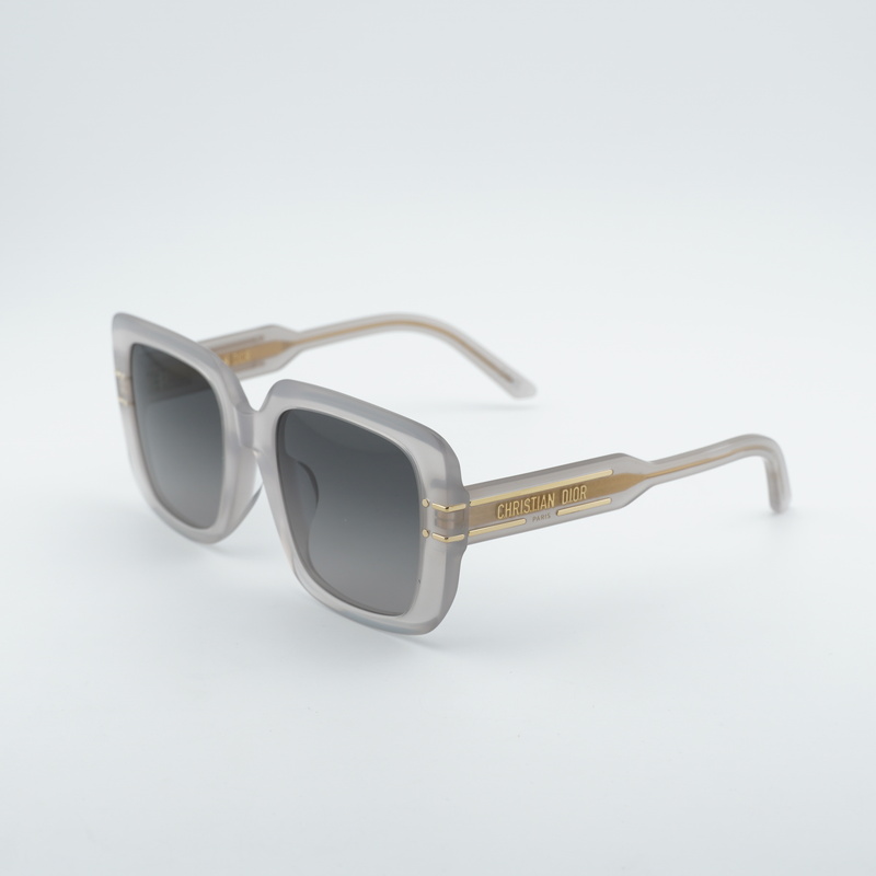Dior DIORSIGNATURES11F Square Sunglasses