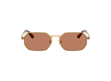 Versace VE2297 100273 Gold/Brown